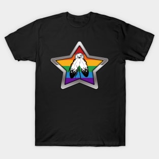 Large Two-Spirited Pride Flag Colored Star with Chrome Frame. T-Shirt